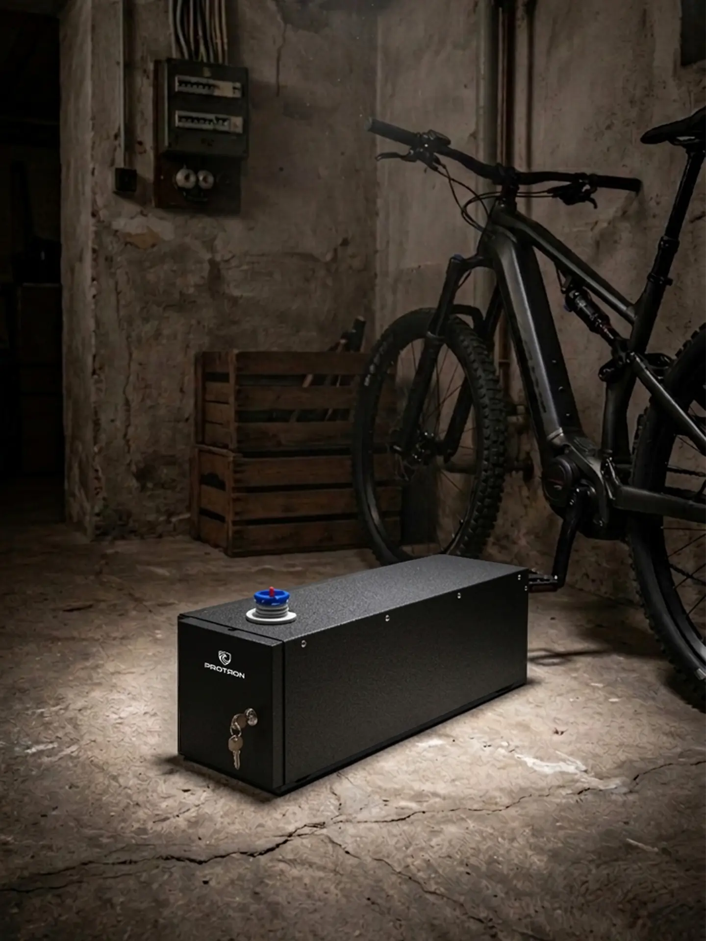 Protron - Safe Battery Storage (SBS)
